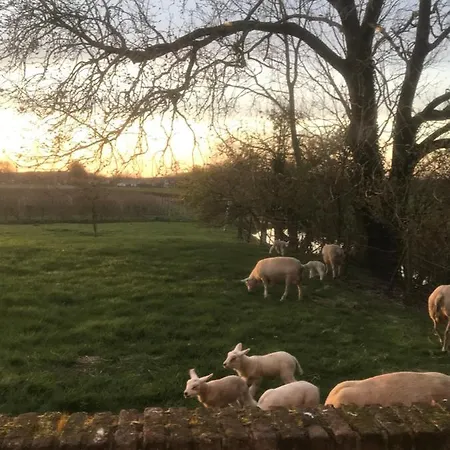 Bed & Breakfast Kasteel Landgoed Crayenstein Tricht